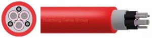 NTSCGEW-U-3-from-Huadong-Cable-Group